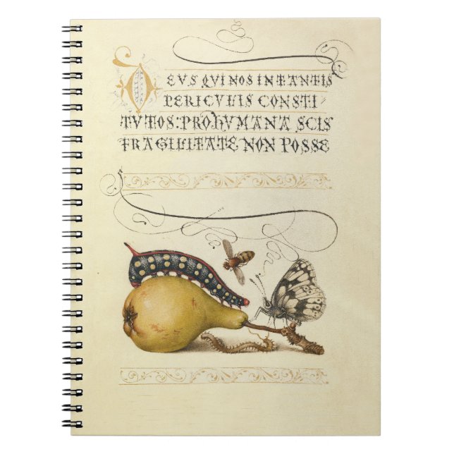 Butterfly Bee Fruit Insect Illustration Notebook (Front)