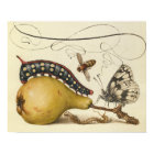 Butterfly Bee Fruit Insect Illustration