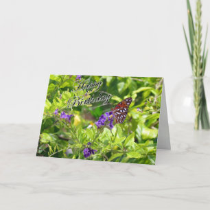 Butterfly Birthday Card - Gulf Fritillary