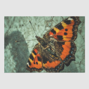 Butterfly Birthday Tissue Paper