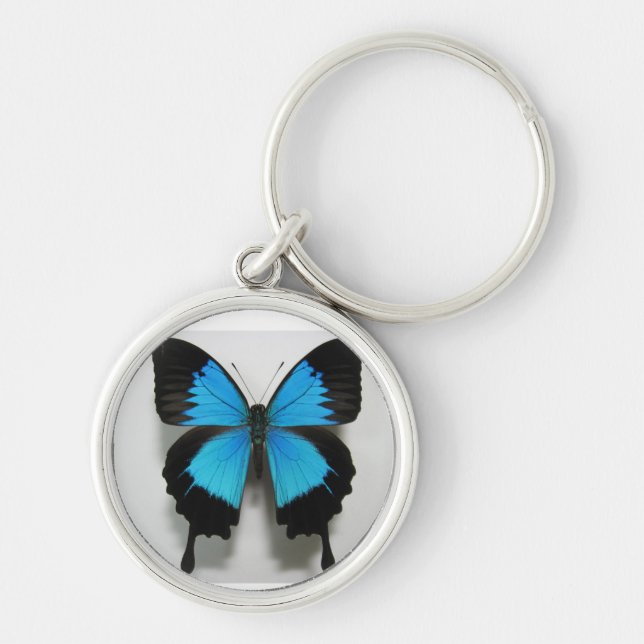 butterfly blue keychain (Front)