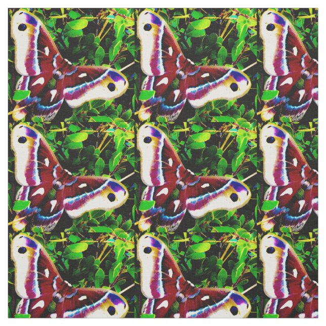 Butterfly Blues Fabric (Swatch)