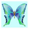 Butterfly Blues