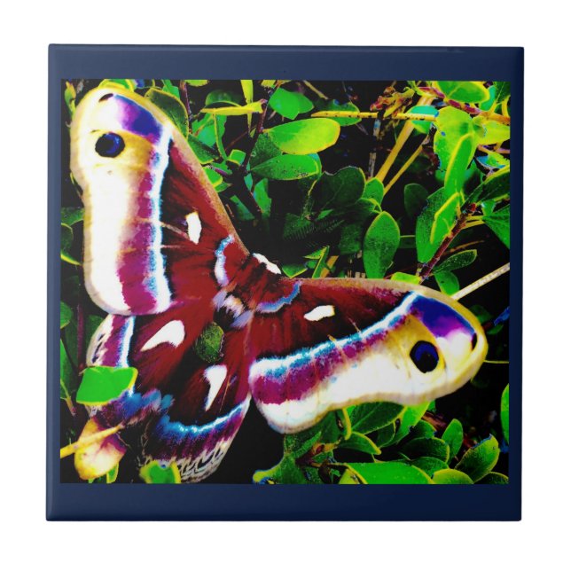 Butterfly Blues Tiles (Front)