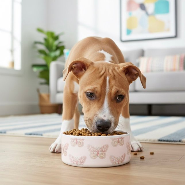 Butterfly Bowl (Creator Uploaded)