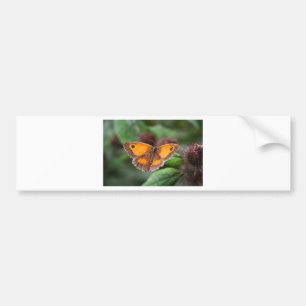 Butterfly Bumper Sticker