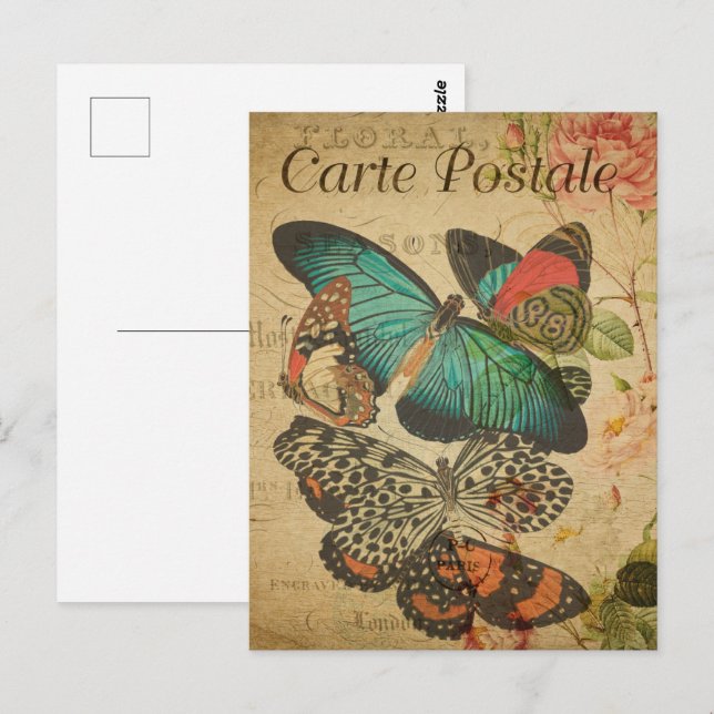 Butterfly Bunch Vintage Postcard (Front/Back)