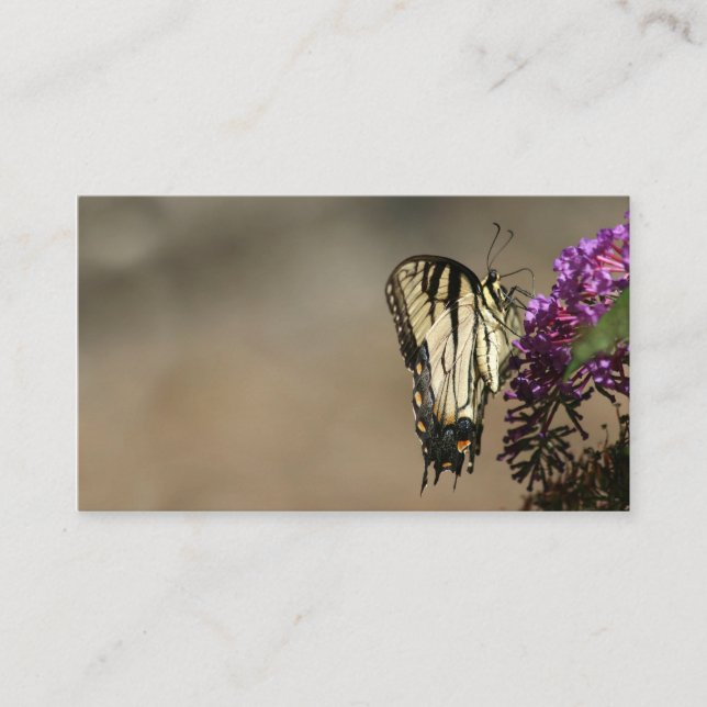 Butterfly business card (Front)
