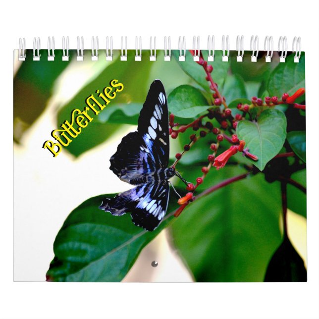 Butterfly Calendar (Cover)