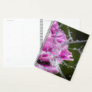 Butterfly Calendar Planner