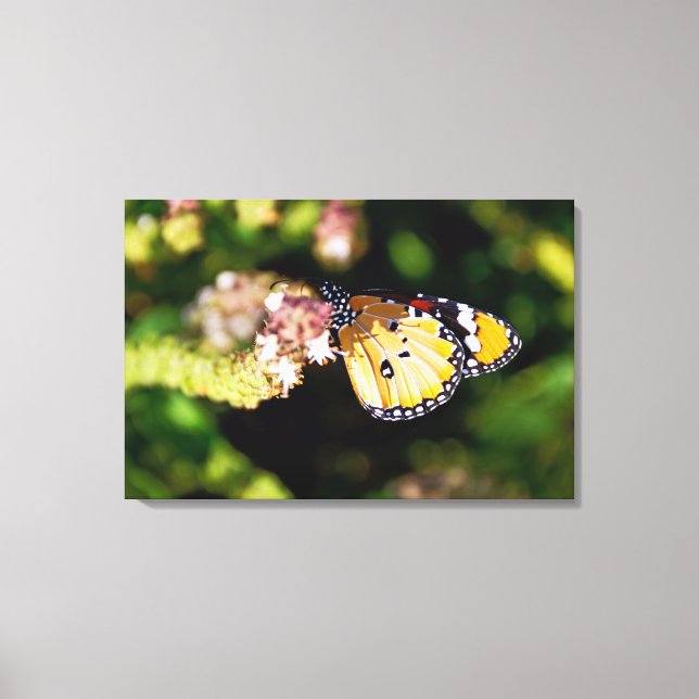 Butterfly Canvas Print (Front)