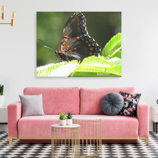 butterfly canvas print