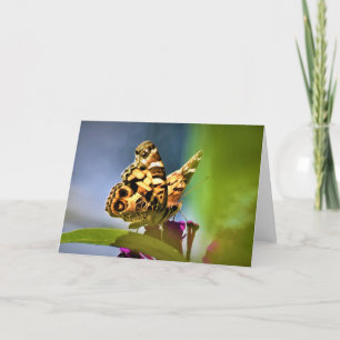 Butterfly, card