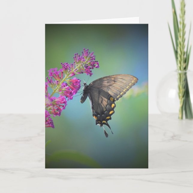 Butterfly, card (Front)