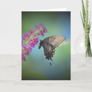 Butterfly, card