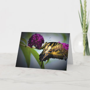 Butterfly, card