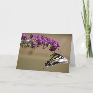 Butterfly, card
