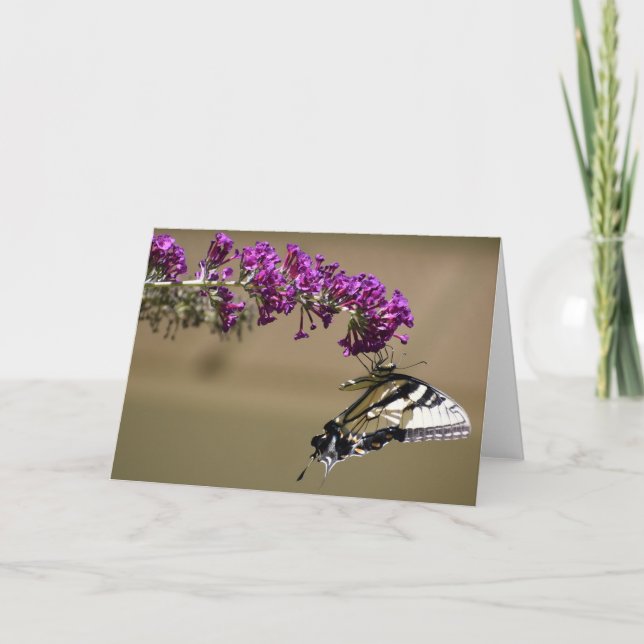 Butterfly, card (Front)