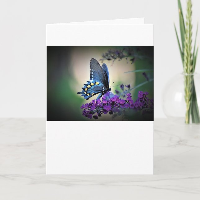 Butterfly, card (Front)