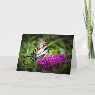 Butterfly, card