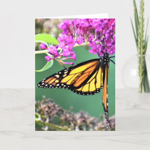 Butterfly, card