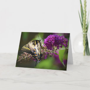 Butterfly, card