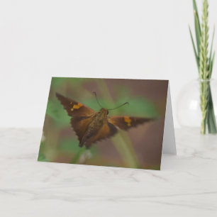 Butterfly Card