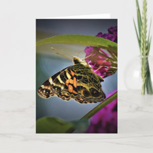 Butterfly, card