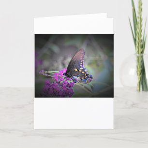 Butterfly, card