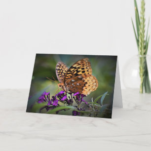 Butterfly, card