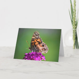 Butterfly, card