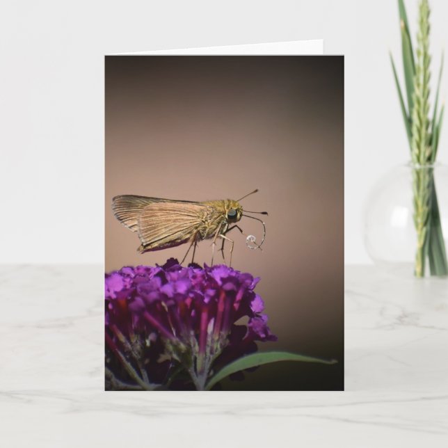 Butterfly, card (Front)