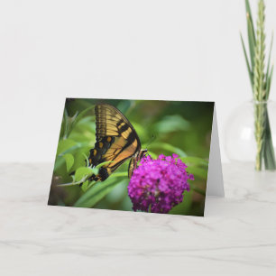 Butterfly, card