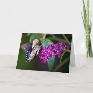 Butterfly, card