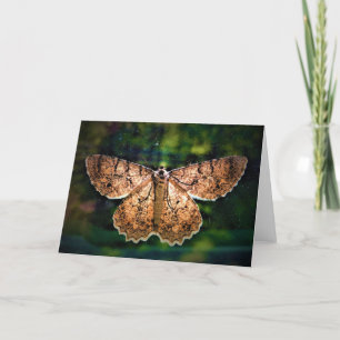 Butterfly, card