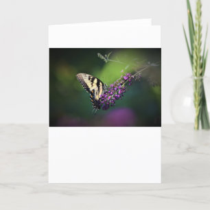 Butterfly, card