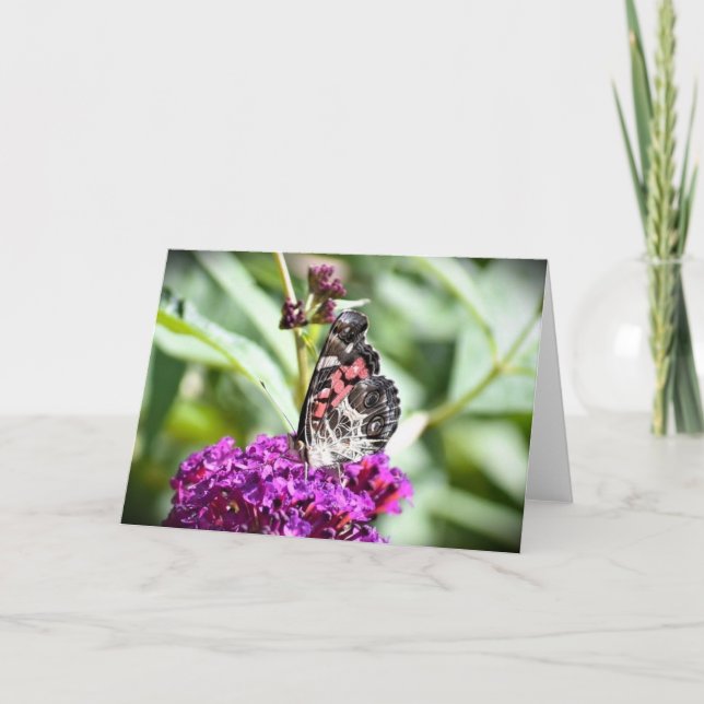Butterfly, card (Front)