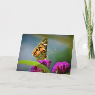 Butterfly, card