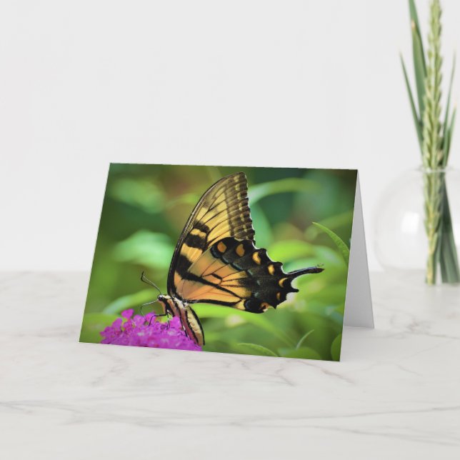 Butterfly, card (Front)