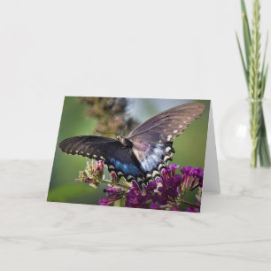 Butterfly, card