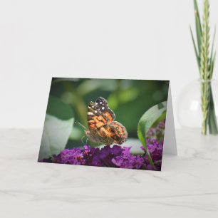 Butterfly, card