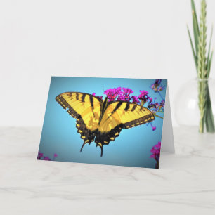 Butterfly, card