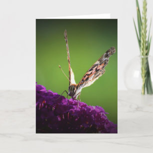 Butterfly, card