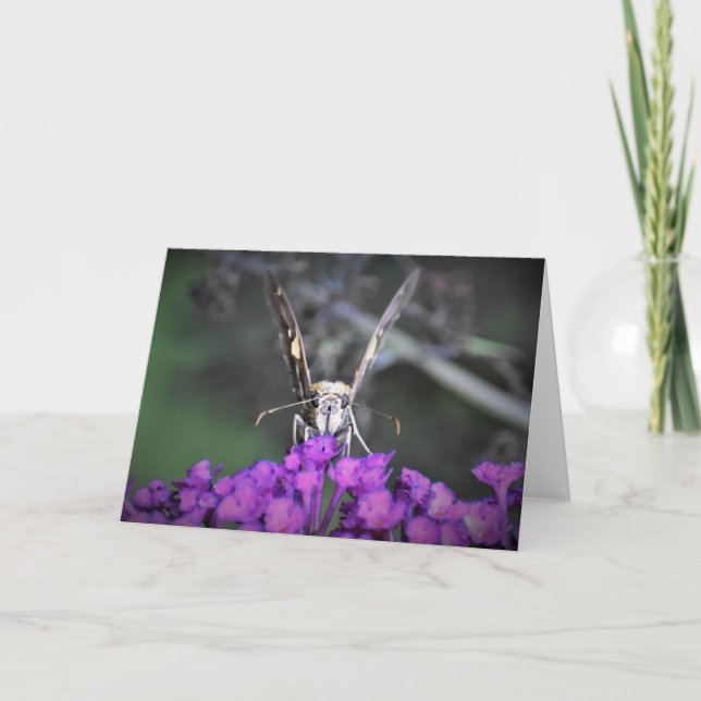 Butterfly, card (Front)