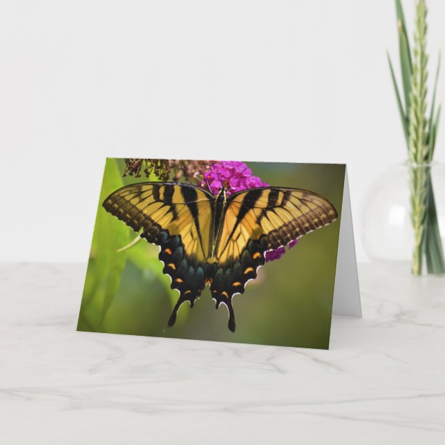 Butterfly, card (Front)