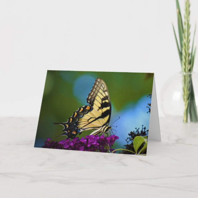 Butterfly, card (Front)