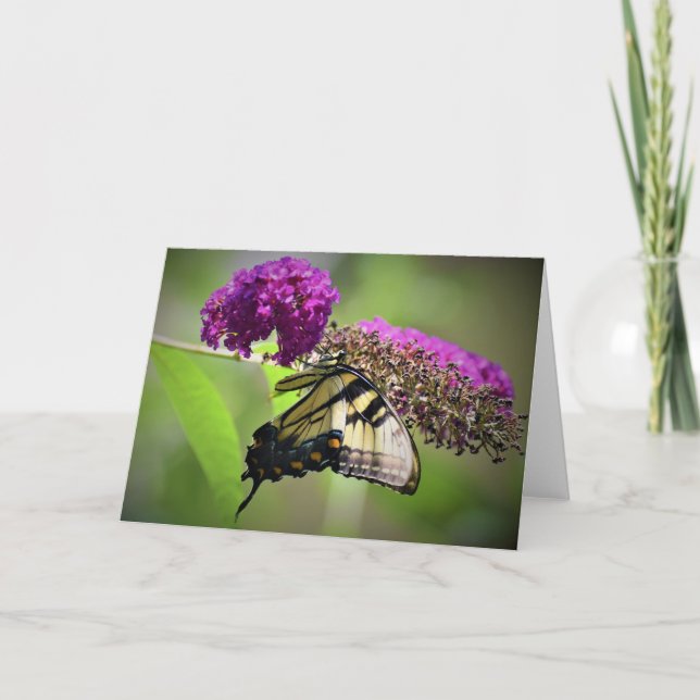 Butterfly, card (Front)