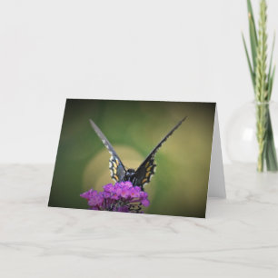 Butterfly, card