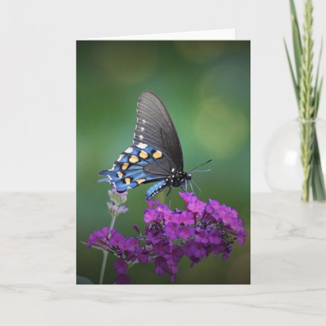 Butterfly, card (Front)