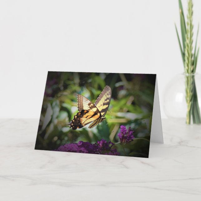 Butterfly, card (Front)